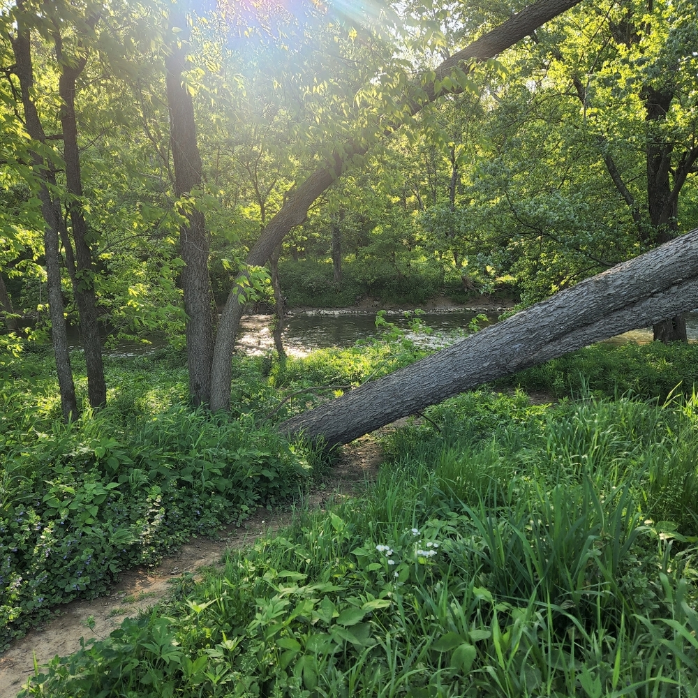 Meet your Posher, Ariel